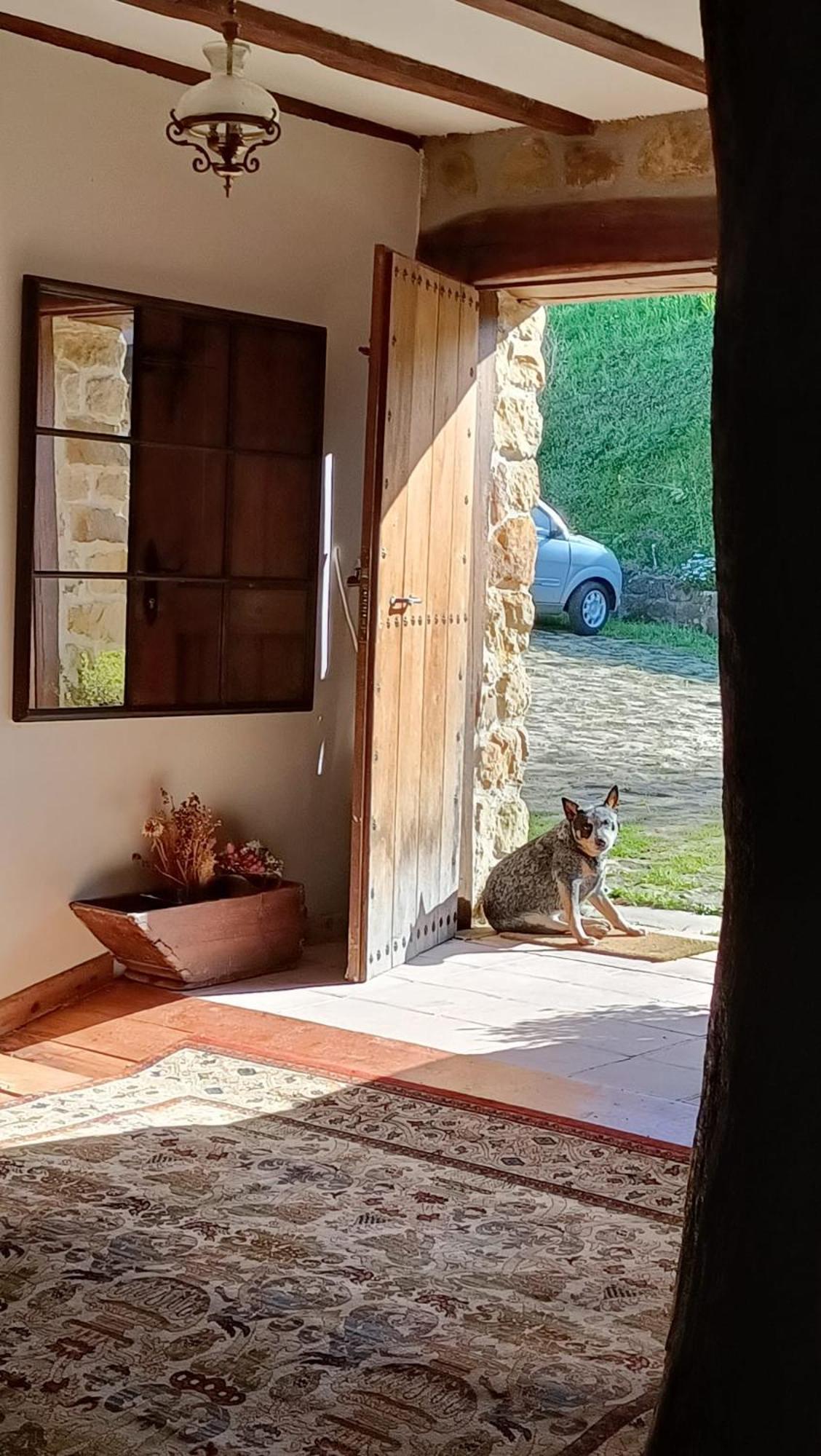 Golindo Goikoa Διαμέρισμα Getaria Εξωτερικό φωτογραφία